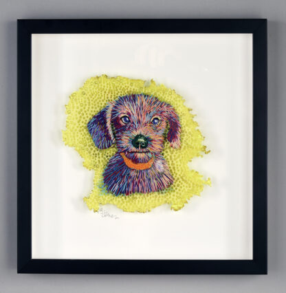 "Dash" - Image 2
